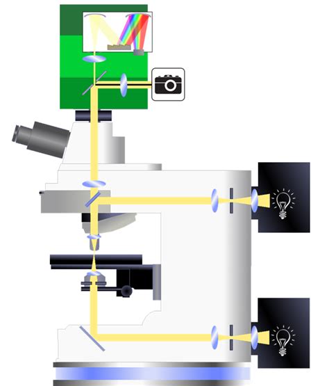 microscope spectrometer|what is a microspectrophotometer.